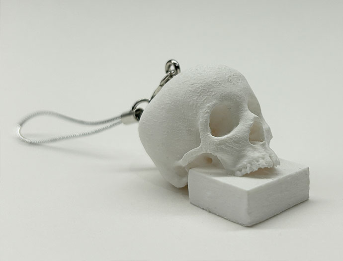 《豆腐＋頭蓋骨》フィギュア