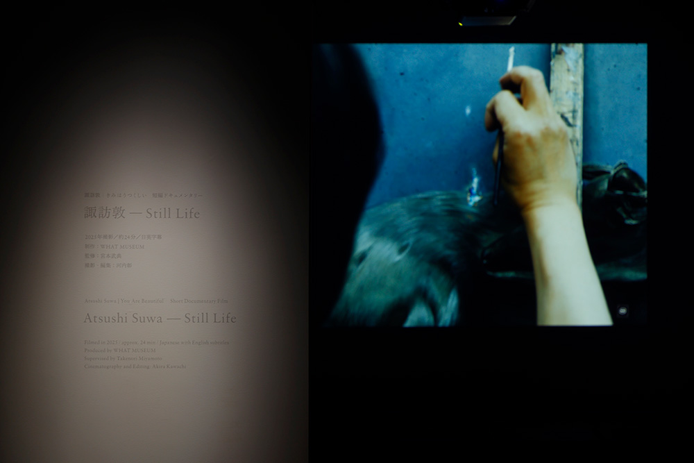 ドキュメンタリー映像の画像
